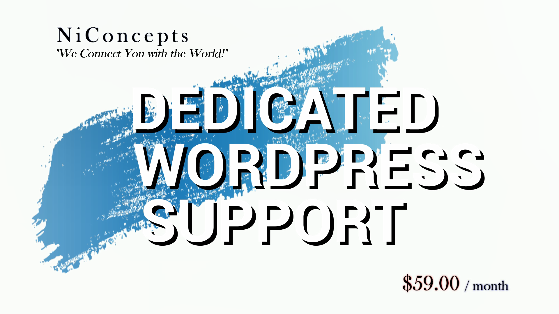 unlimited-wordpress-website-support-niconcepts