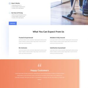 Cleaning Service WordPress Website NiConcepts