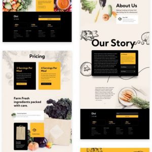 Meal Delivery WordPress Website Support NiConcepts